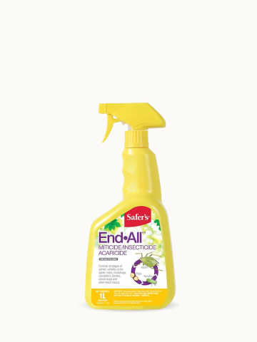 Insecticide Ready-To-Use