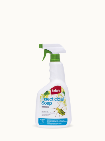 Savon Insecticide